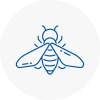 Bee Nest Removal Belgravia