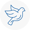 Bird Prevention Belgravia