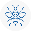 Belgravia Hornet Nest Removals