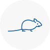 Mice Exterminators In Belgravia