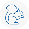 Belgravia Rodent Removals